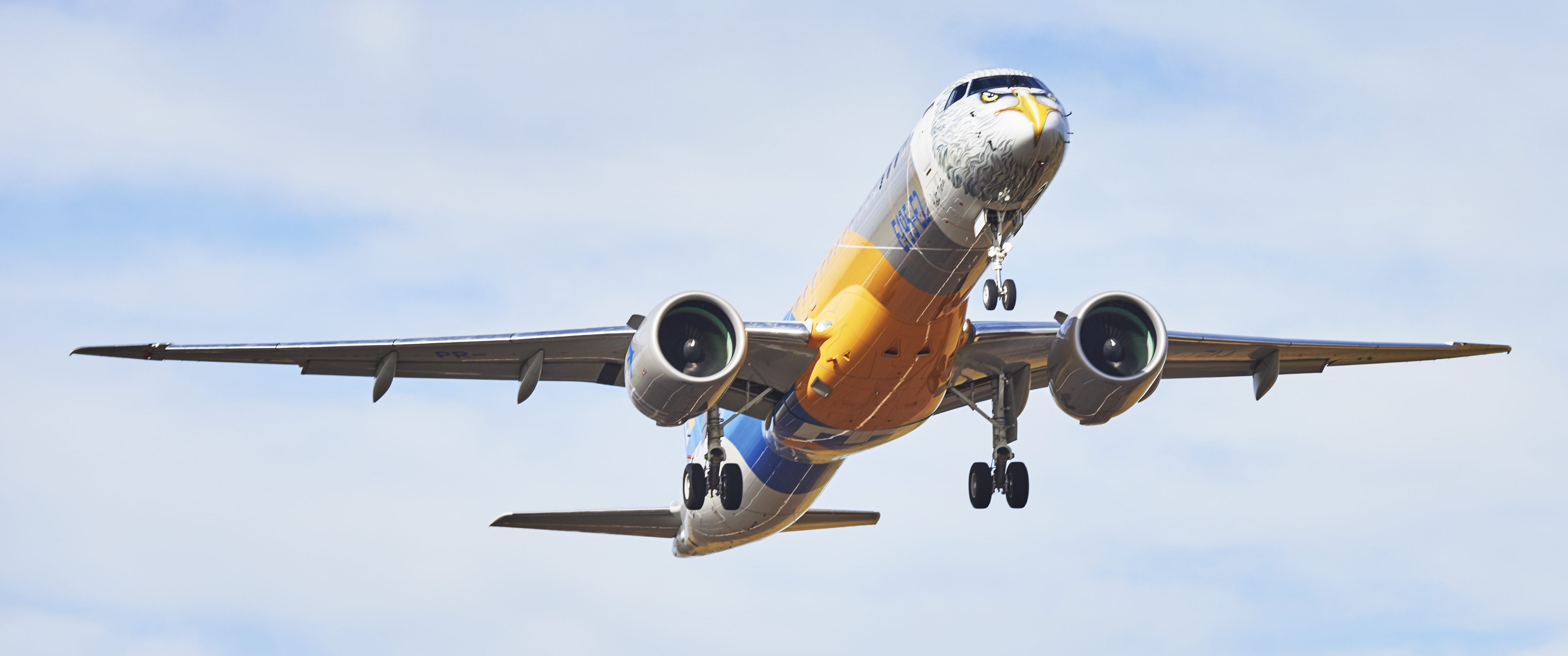 E195-E2 Flutter Test Completed